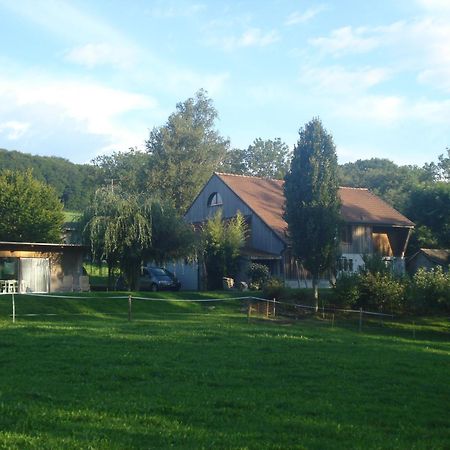 Bnb Pavillon Paisible Orsonnens Exterior foto